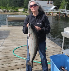 Beginning of King Salmon season in Alaska...Caught 5 Kings in three days and outfished 3 guys!